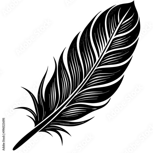 Feather silhouette vector illustration on white background