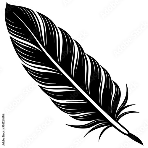 Feather silhouette vector illustration on white background