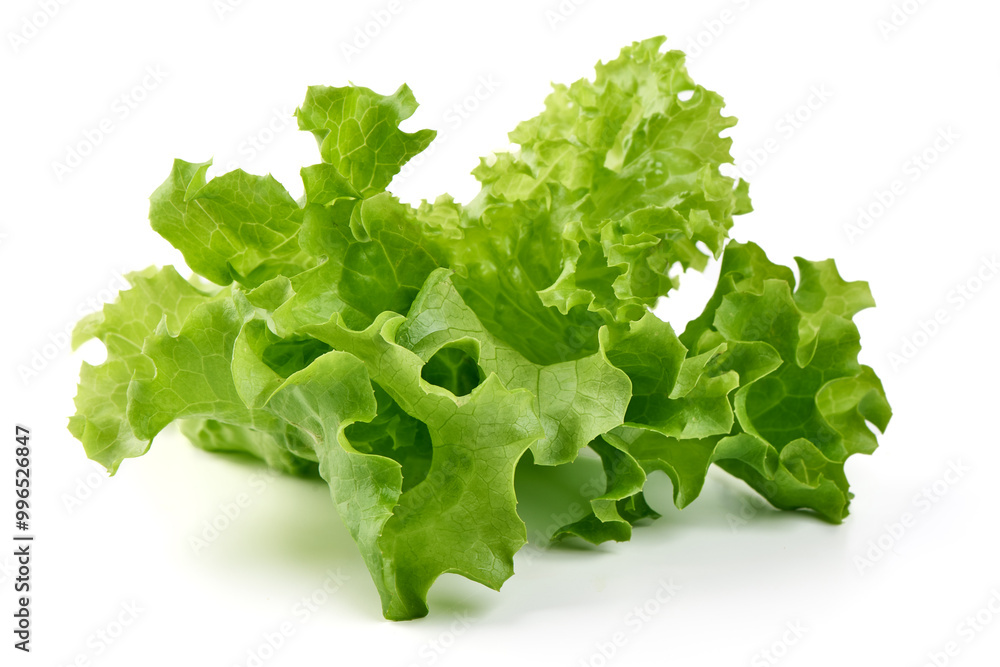 Lettuce Salad leaves, isolated on white background. Lettuce Salad leaves, isolated on white background.