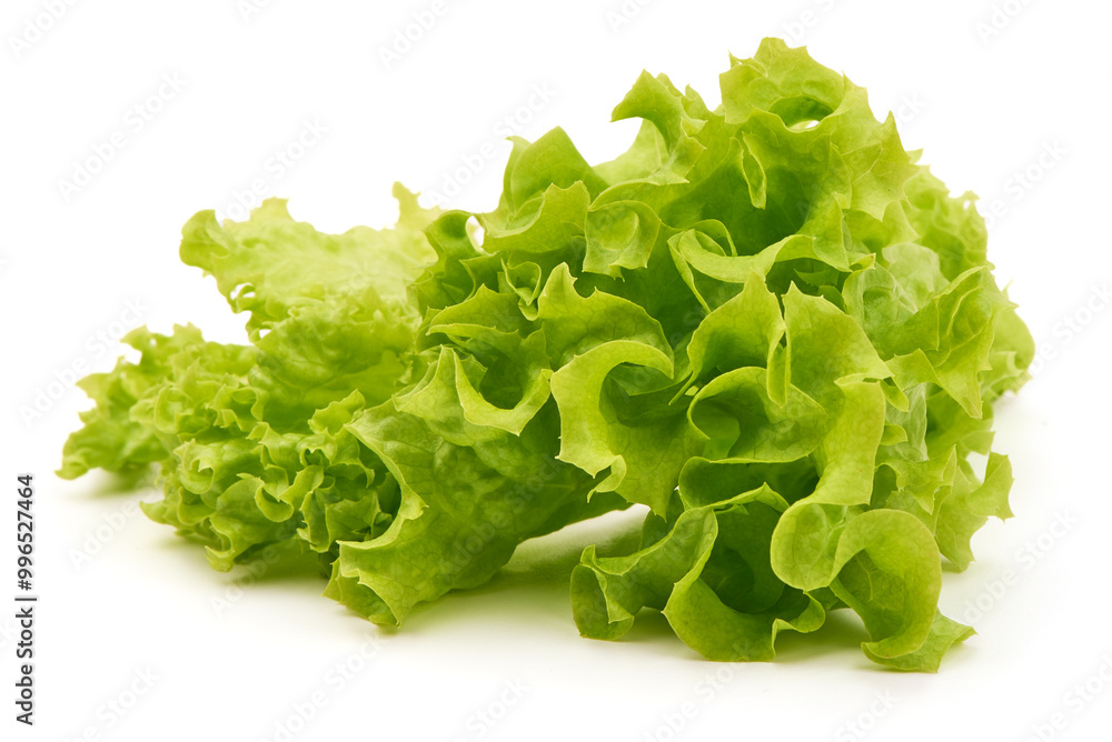 Lettuce Salad leaves, isolated on white background. Lettuce Salad leaves, isolated on white background.