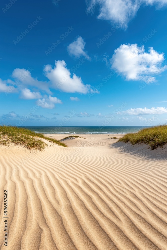 Scenic view of sandy dunes under a bright blue sky with beautiful clouds. Scenic view of sandy dunes under a bright blue sky with beautiful clouds.
