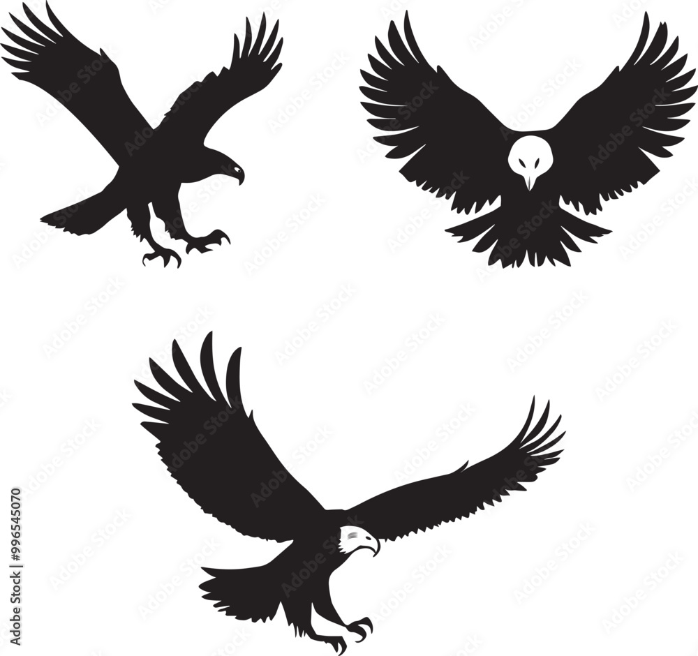 Obraz premium Black and white Eagle vector