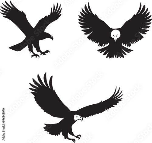 Black and white Eagle vector photo