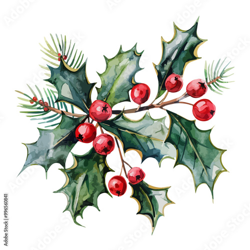 Watercolor Christmas Holly berry, branch with red berries and green leaves, holly on an isolated white background, watercolor illustration, hand drawing, Watercolor Christmas red Holly berry