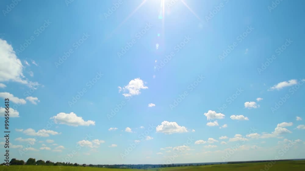 A rye field on a sunny summer day. A green wheat field and the sun in the blue sky. A beautiful sunny summer day in nature. A rye field on a sunny summer day. A green wheat field and the sun in the blue sky. A beautiful sunny summer day in nature.