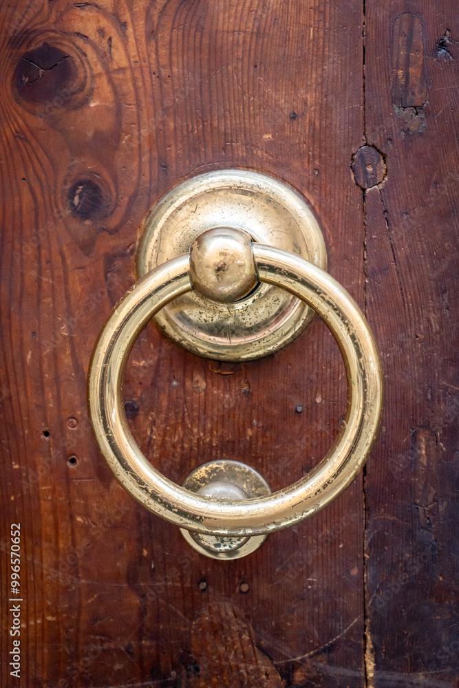 Creative metal door knocker with sheep or ram Creative metal door knocker with sheep or ram