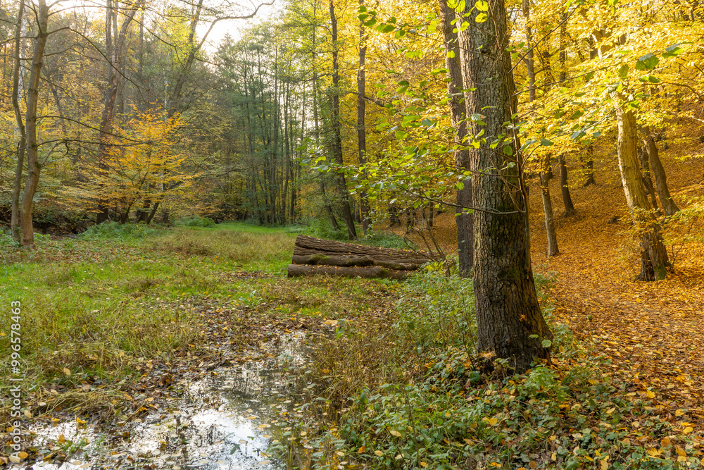 Beautiful water spring in autumn forest Beautiful water spring in autumn forest