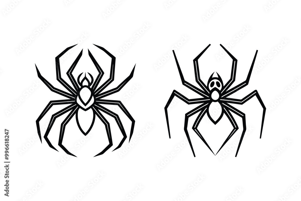 Fototapeta premium black spider isolated on white