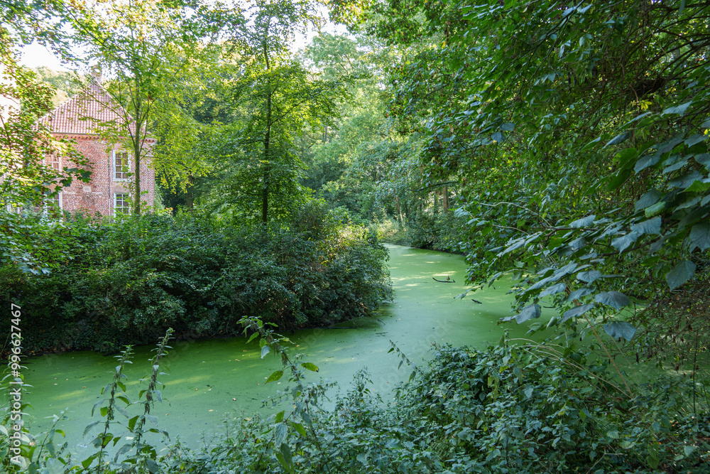Die Krummhörn in Ostfriesland Die Krummhörn in Ostfriesland