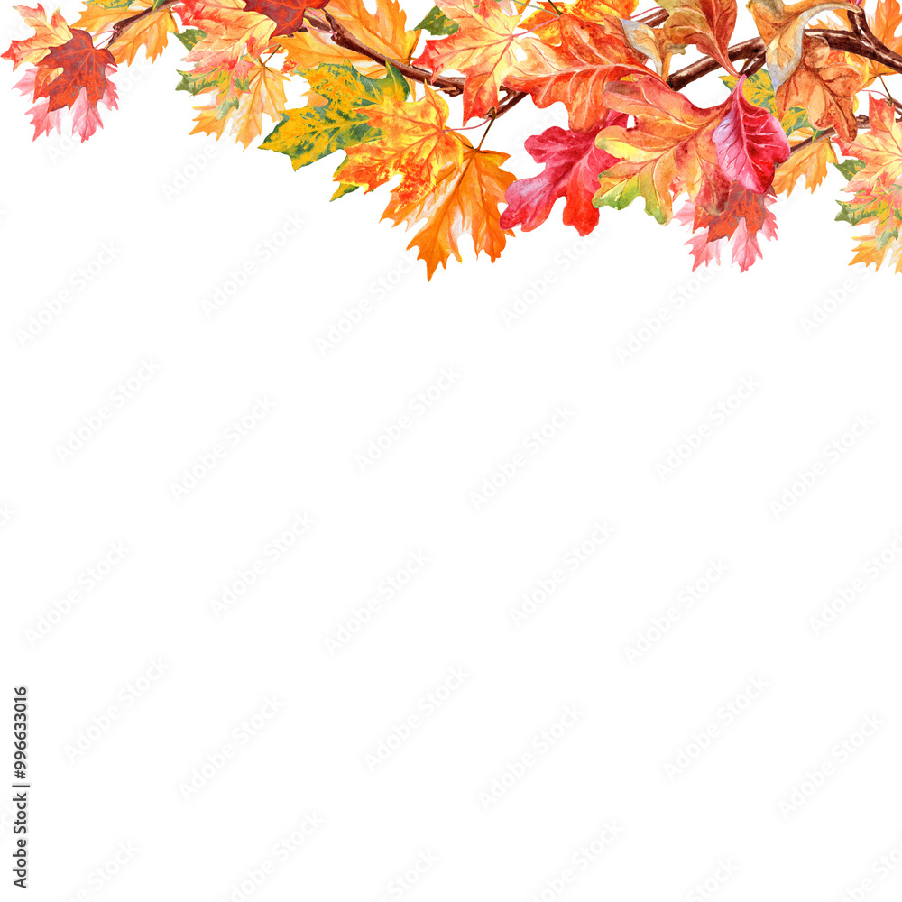 border of bright autumn maple and oak leaves border of bright autumn maple and oak leaves