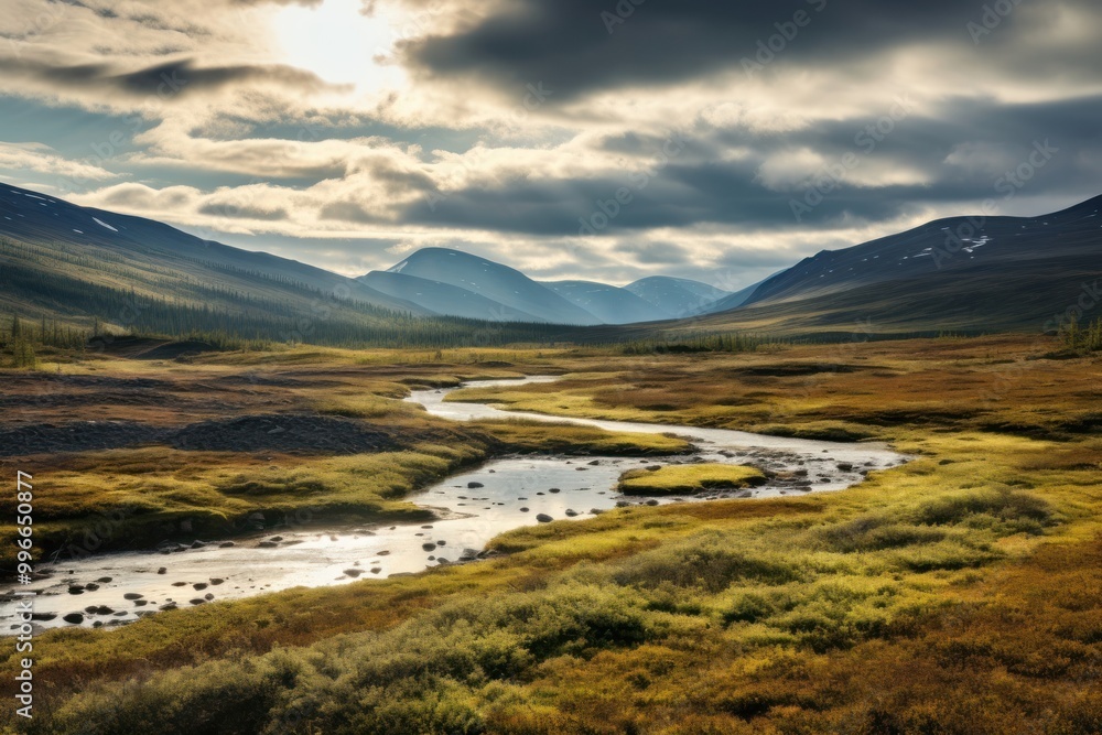 Tundra landscape wilderness outdoors nature.