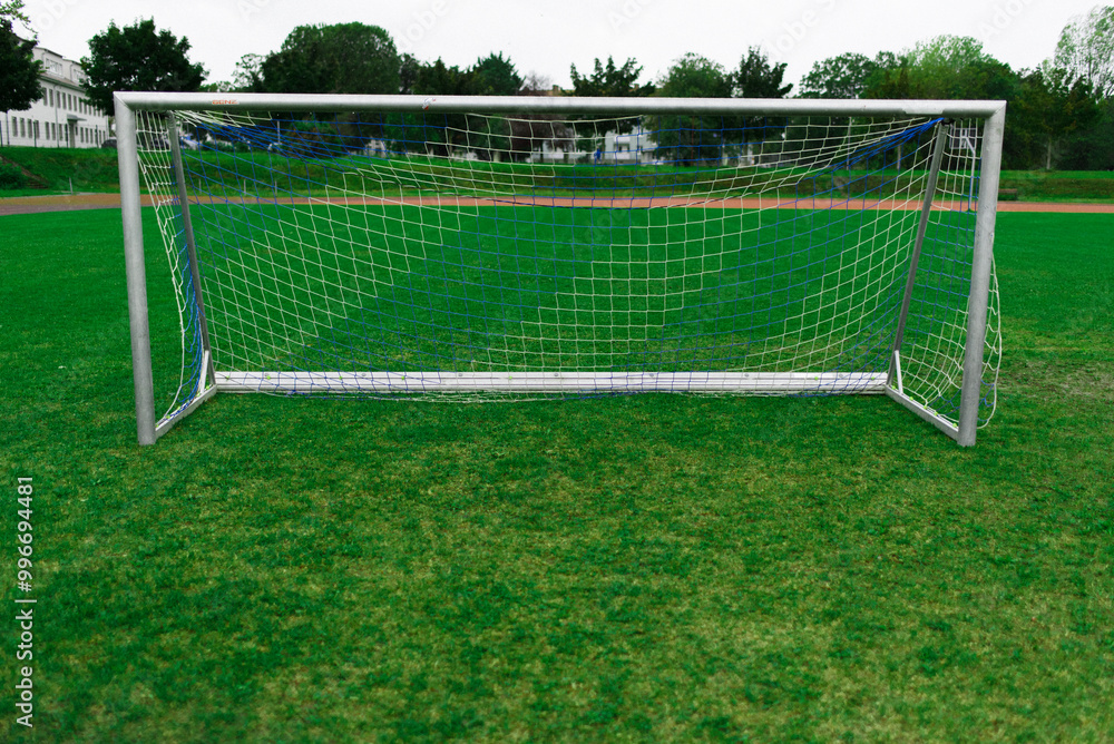 Fototapeta premium football soccer field with gates