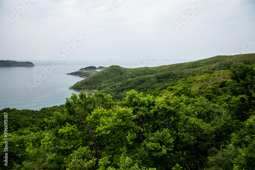 A picturesque view showcasing a body of water with lush trees in the foreground