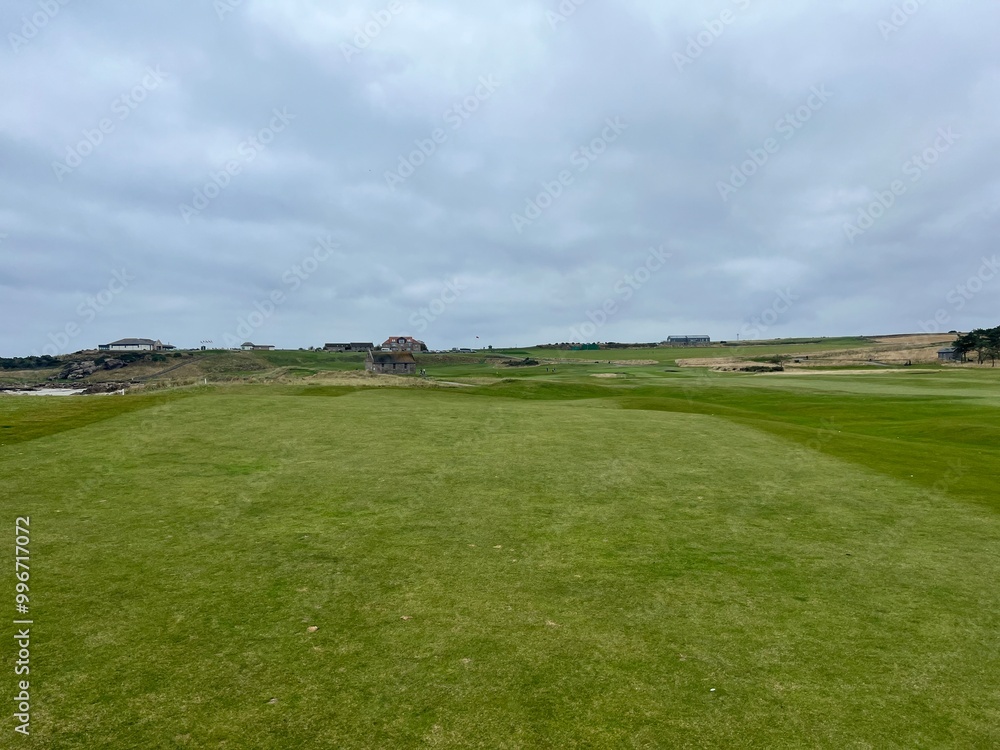 Naklejka premium golf course. nature, golf, golf course, nature, grass, sky, field, landscape, green, meadow, summer, cloud, clouds, tree, blue, countryside, course, hill, view, spring, country, trees, mountain, lawn,