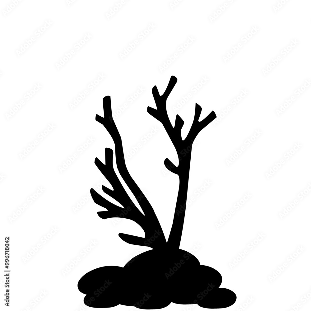 Fototapeta premium Coral Silhouette