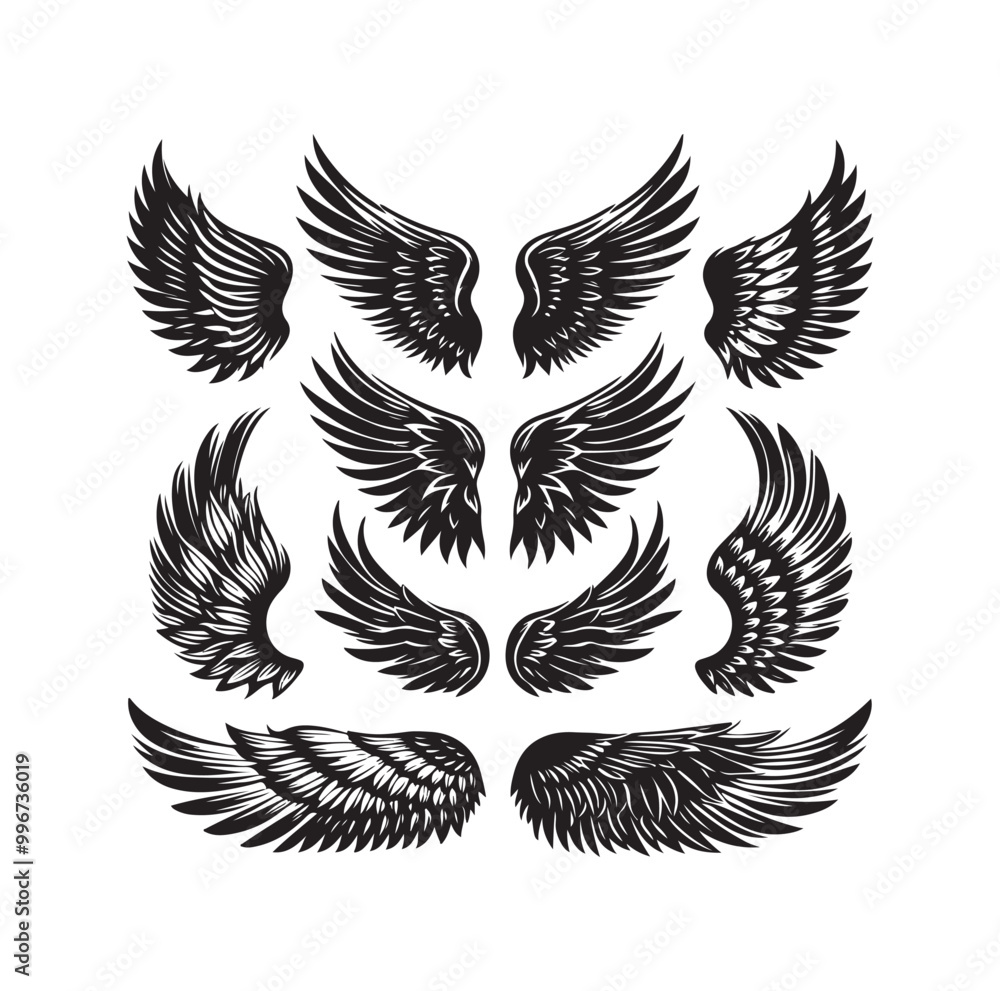 Fototapeta premium wings icon set Collection Vector illustration