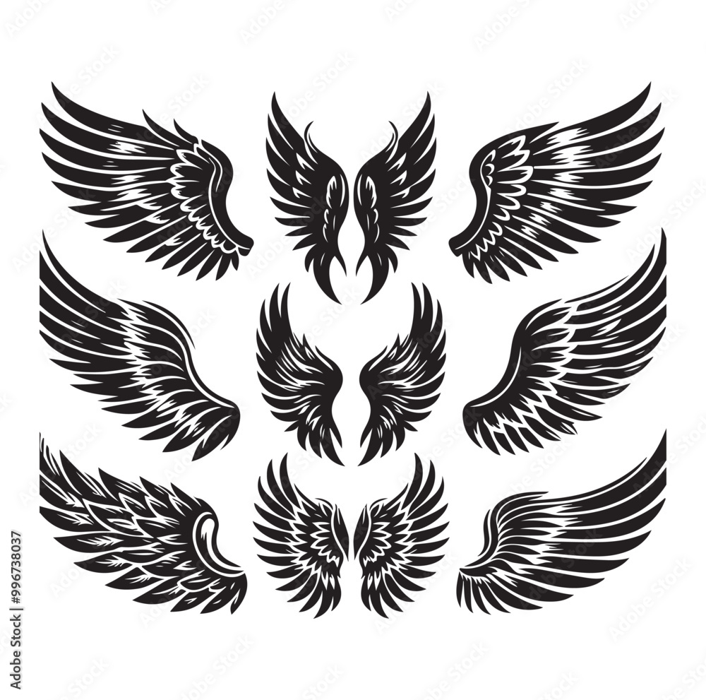 wings icon set Collection Vector illustration wings icon set Collection Vector illustration