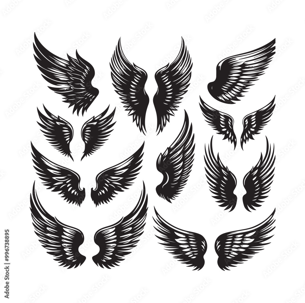 Obraz premium wings icon set Collection Vector illustration