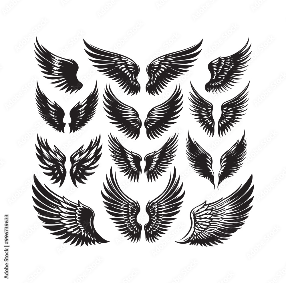 wings icon set Collection Vector illustration wings icon set Collection Vector illustration