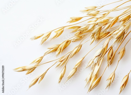 Oats on a white background