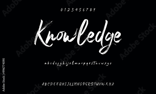 Handwritten Brush Font - Perfect for Invitations