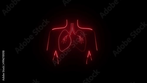 Human Pleurisy Lung Inflammation Animation Background. Neon Line Color, Human Body Frame photo