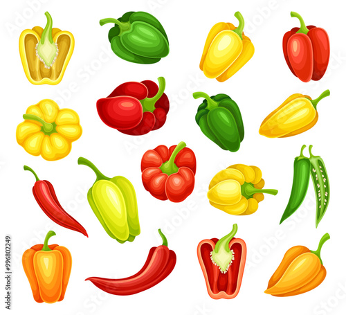 Pepper Vegetable Bright Agricultural Crop Whole and Half Vector Set