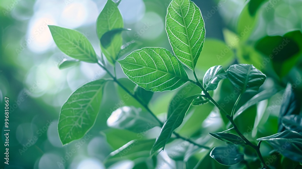 Fototapeta premium Abstract leaves in the background, a pattern that echoes nature's design. Bright green decoration, a representation of plant life.