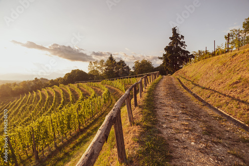 Colorful sunset in the vineyards of Savorgnano del Torre