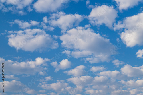 Sky. White cumulus clouds on a clear blue sky.