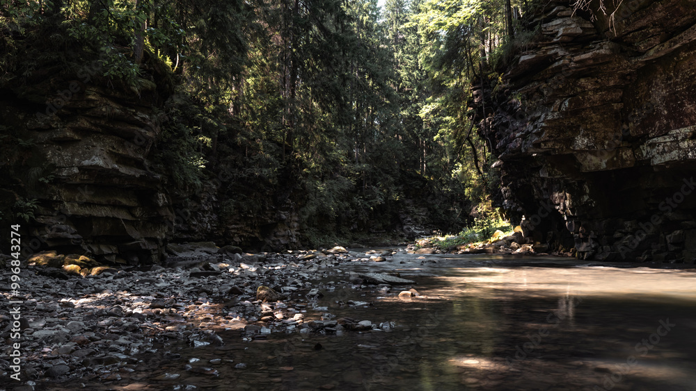 Sunlight Dancing on a Mountain Stream