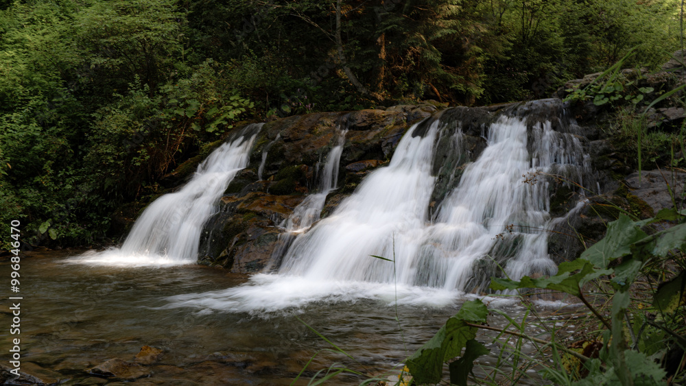 Fototapeta premium Hidden Forest Waterfall Surrounded by Greenery