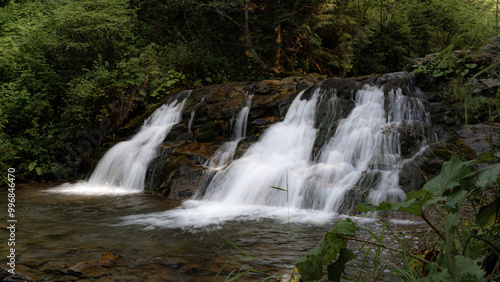 Hidden Forest Waterfall Surrounded by Greenery