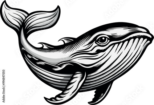 animali marini, squalo, balena, delfino, polpo, ippocampo 0 1