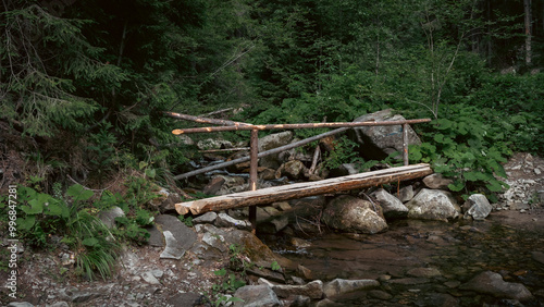 Wallpaper Mural Hand-Built Wooden Bridge in a Mountain Forest Torontodigital.ca