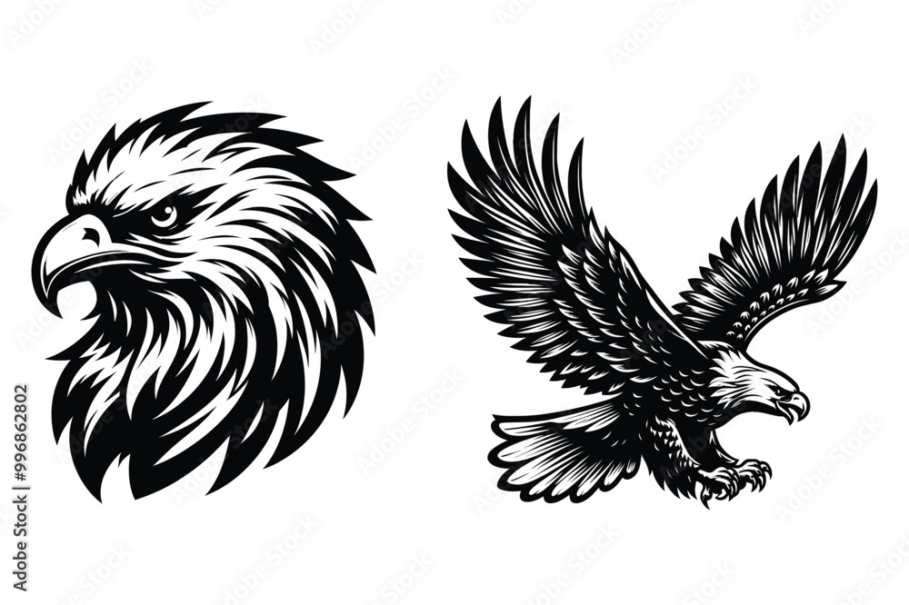 Obraz premium Eagle silhouette vector illustrations