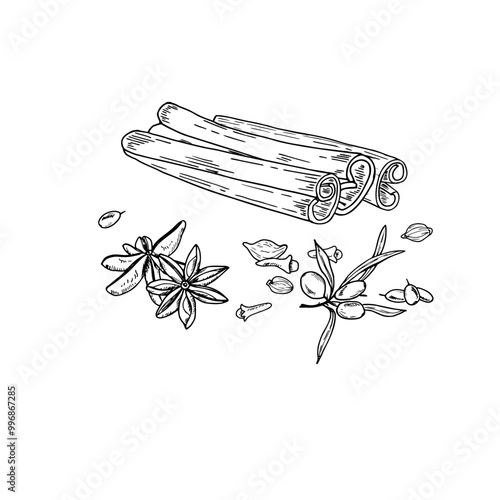 Monochrome cinnamon sticks, sea buckthorn, cloves, star anises, cardamom seeds etching drawing. Hand drawn isolated illustration for the design of invitation, cards, advertising posters