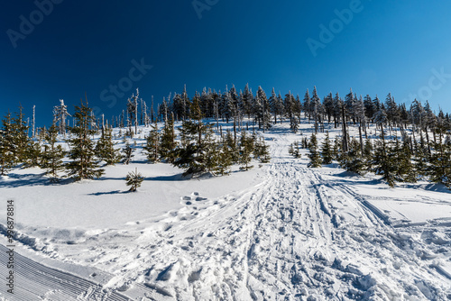 Hill with trees and snow covered hiking trail - Stribnicka hill in winter Kralicky Sneznik mountains in Czech republic photo