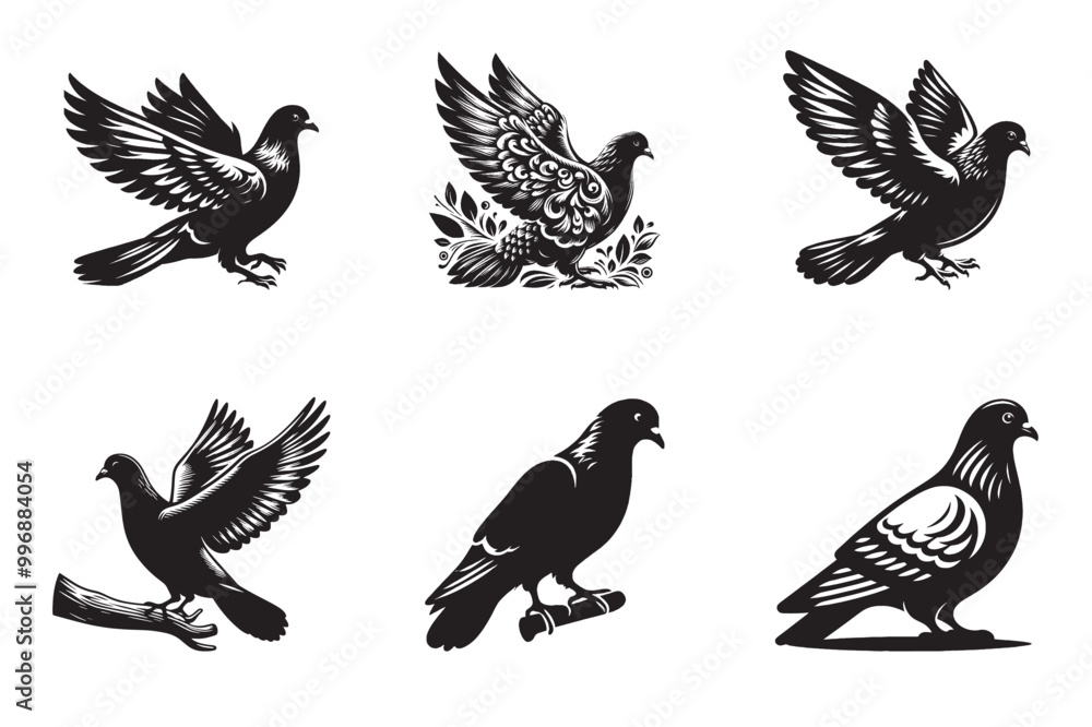 Pigeon 1.eps Pigeon 1.eps