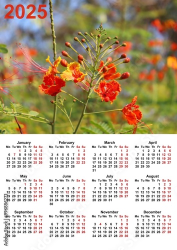 Calendar for 2025 printable 300 dpi with illustration, Europa Grid