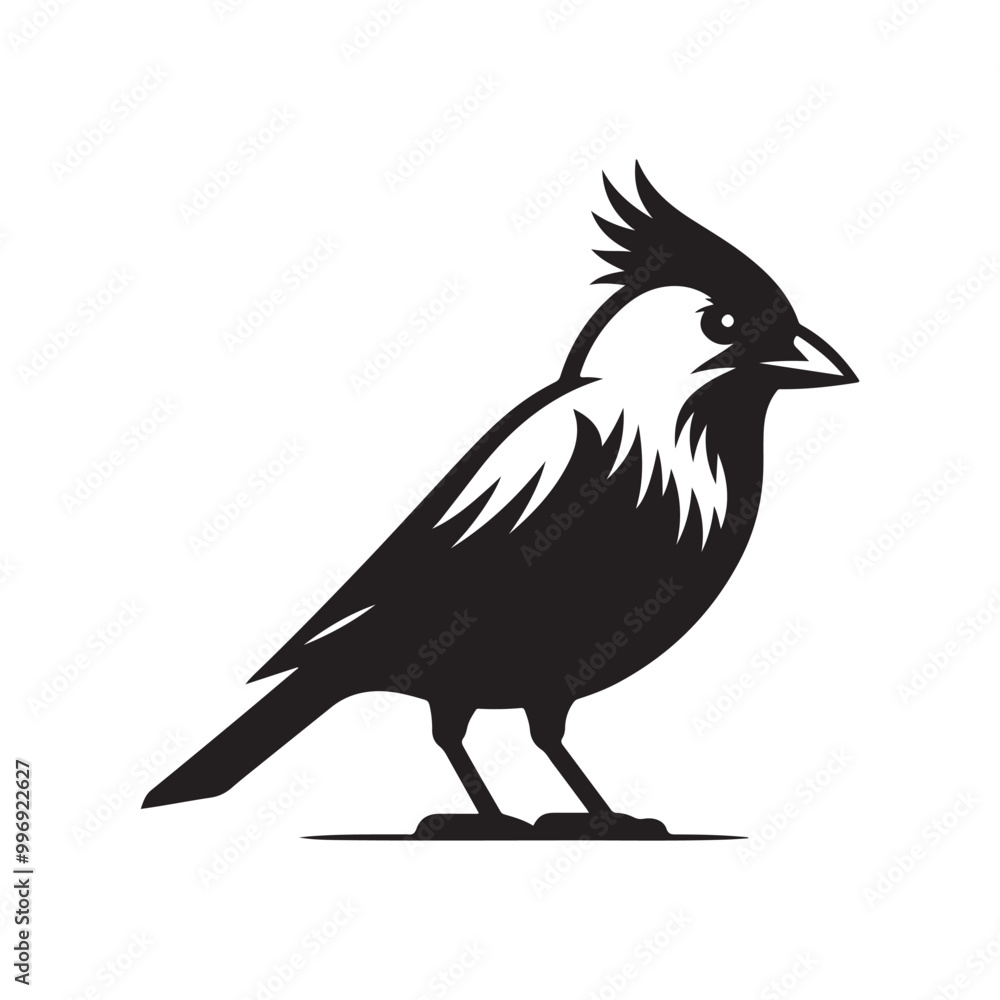 Stylish Jackdaw Silhouette Vectors: Ideal for Creative Design Projects Stylish Jackdaw Silhouette Vectors: Ideal for Creative Design Projects