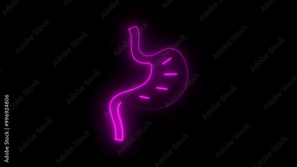 Neon glowing Human Digestive System kidney Animation. Glowing neon line Human kidney icon on black background. Neon glowing Human Digestive System kidney Animation. Glowing neon line Human kidney icon on black background.