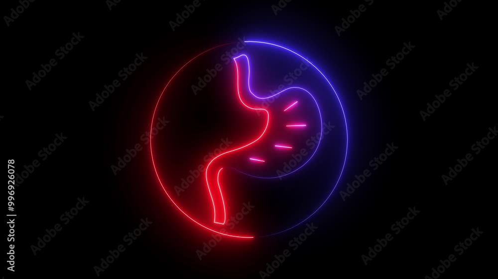 Neon Human Digestive System Stomach Anatomy Animation with circle icon. Glowing neon line Human kidney concept. Neon Human Digestive System Stomach Anatomy Animation with circle icon. Glowing neon line Human kidney concept.