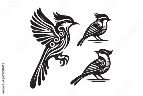 Birds vector and silhouette