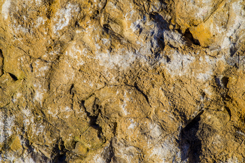 rdzawe tło drewniane naturalne i chropowate photo