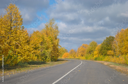 road with yellow autumn trees and sky with dark clouds. beautiful autumn landscape