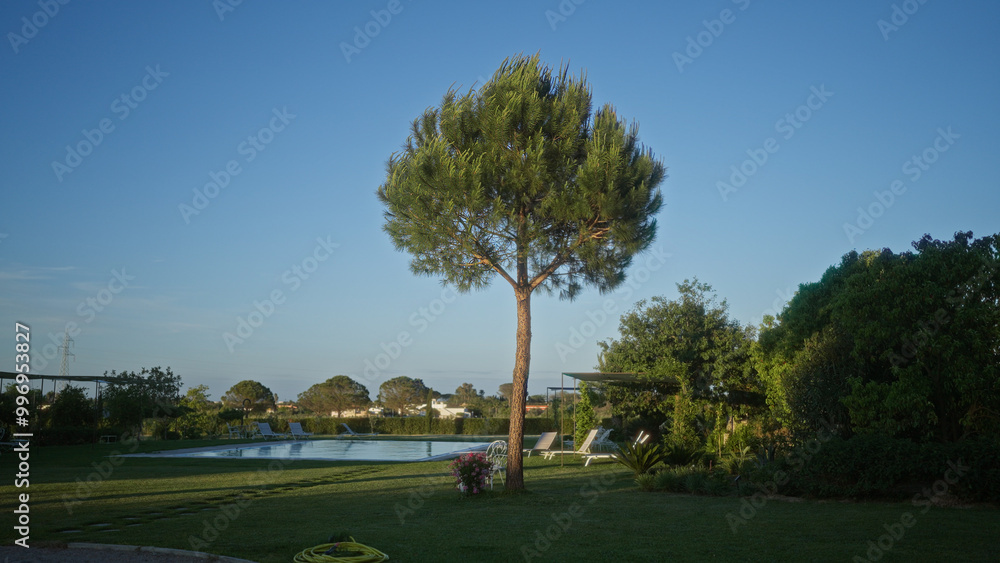 A serene outdoor garden in puglia, italy, featuring a prominent pine tree, lush greenery, and a swimming pool under a clear blue sky. A serene outdoor garden in puglia, italy, featuring a prominent pine tree, lush greenery, and a swimming pool under a clear blue sky.