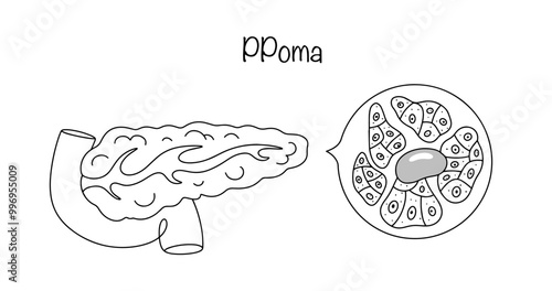 PPoma