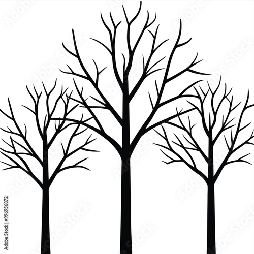 High contrast black and white image of leafless trees branches isolated on white background.