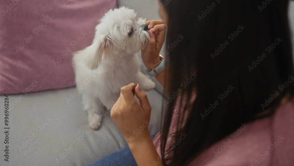 Φωτογραφία A young woman pets her fluffy white bichon maltese dog in a cozy living room, exuding a homely vibe